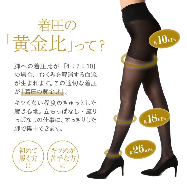 kaiko⭐︎⭐︎　シャンデール　ガードル５点　ストッキング4点セット 楽天市場】タイツ《裏起毛ガードルフェイクタイツ＆トレンカ 全4