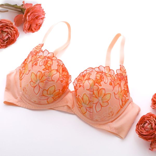 トリンプ Triumph TR596 天使のブラ 魔法のハリ感 ブラジャー DEF 単品