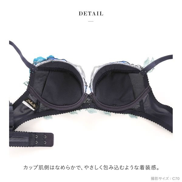 ブラジャー 大きいサイズ ワコール 下着 レディース プッシュ