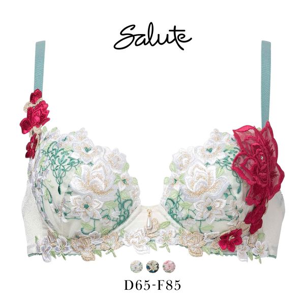 新品未使用 Salute 16G E75ブラジャー ソングL サルート タグ付き 新品未使用 Salute 16G E75ブラジャー ソングL サルート タグ付き 未