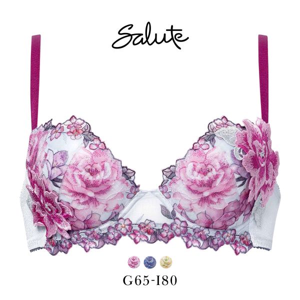 25％OFF【送料無料】 ワコール サルート 21グループ 21G P-UP ブラジャー プッシュアップ GHI 大きいサイズ 谷間 Wacoal Salute BTJ421 2