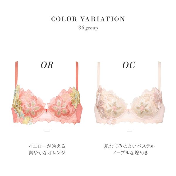 ブラジャー ワコール 下着 レディース プッシュアップ Wacoal