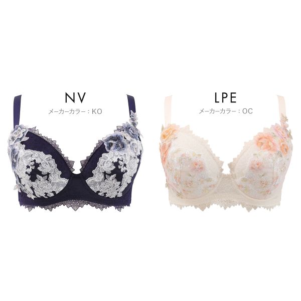 ワコール プレミアム 22series BXD022 22G クイーンサイズ 3/4カップ