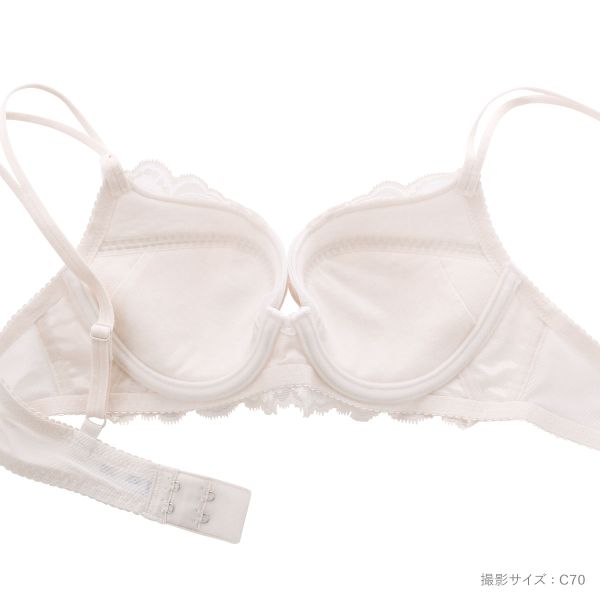 15％OFF【送料無料】 ワコール プッシュアップブラ プレミアム