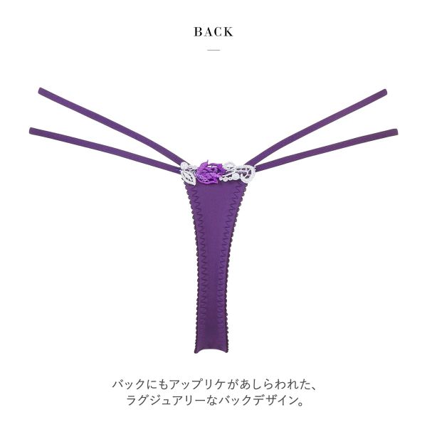 30％OFF【メール便(3)】 ワコール Wacoal サルート Salute 23AW 95G
