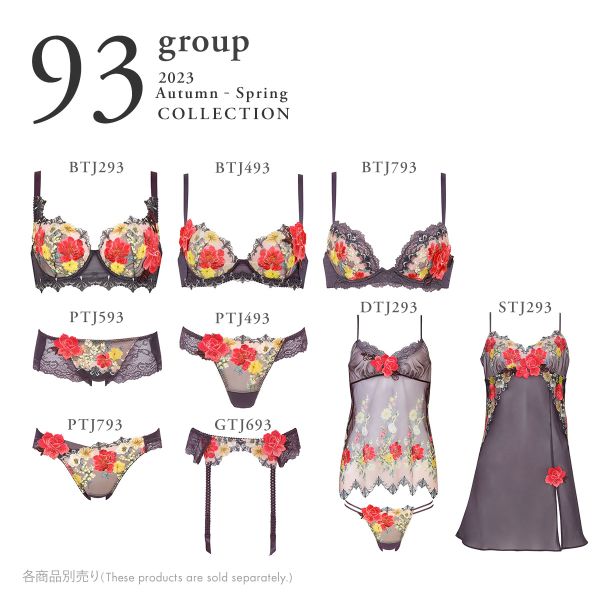 STJ293】M80・L80サイズ ワコール Wacoal サルート Salute 93グループ