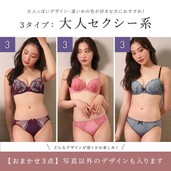 ブラジャー ショーツ セット 福袋 3点セット 選べる2タイプ 刺繍