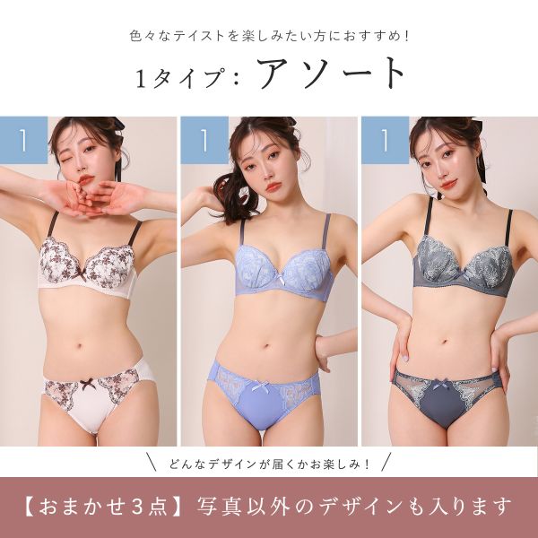ブラジャー ショーツ セット 福袋 3点セット 選べる2タイプ 刺繍 ブラジャー ショーツ セット 福袋 3点セット 選べる2タイプ 刺繍