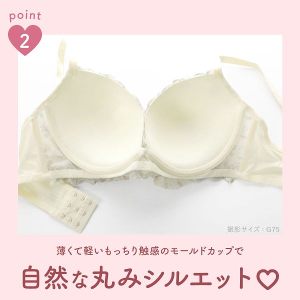 パンキュート ローズロマンティックフリル ブラセット GHI65-95 大きい