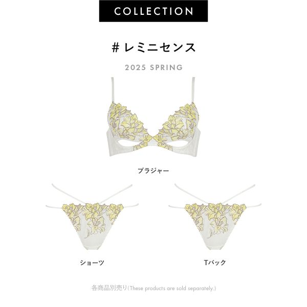 ブラジャー ラヴィジュール レミニセンス グラマーアップ EF 盛り 谷間