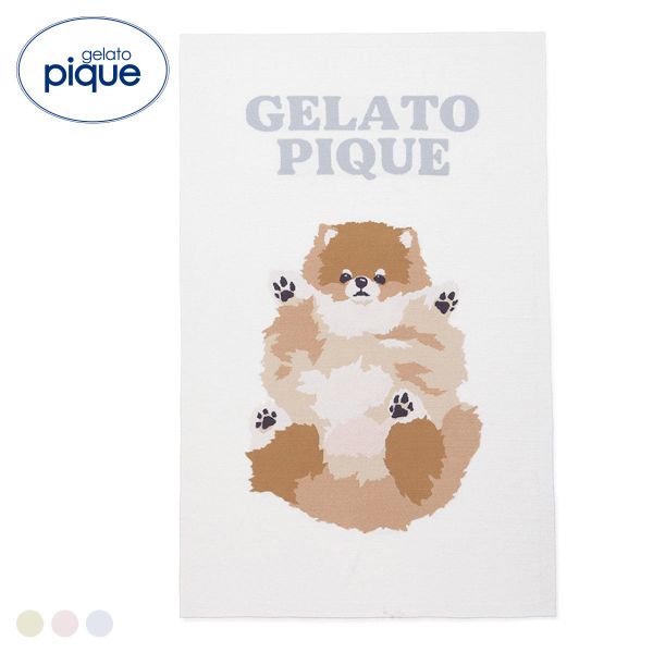 ジェラートピケ ドッグジャガードブランケット ジェラピケ gelato pique 送料無料