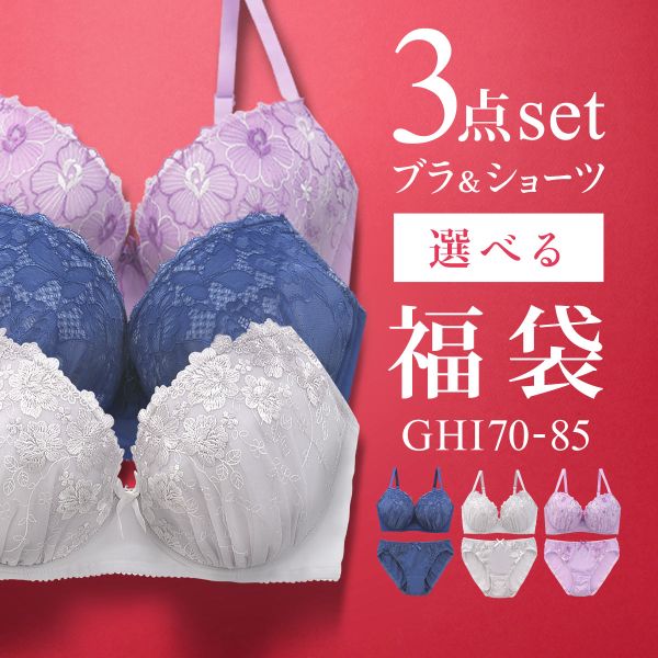 大きいサイズ　ボトムス福袋　まとめ売りセット 20％OFF ブラジャー ショーツ セット 3点 中身が見える福袋 GHI