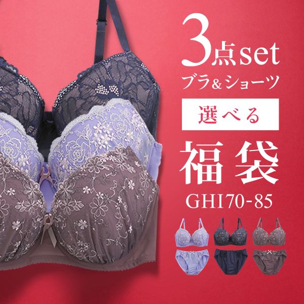 20％OFF ブラジャー ショーツ セット 3点 中身が見える福袋 GHI 大きい