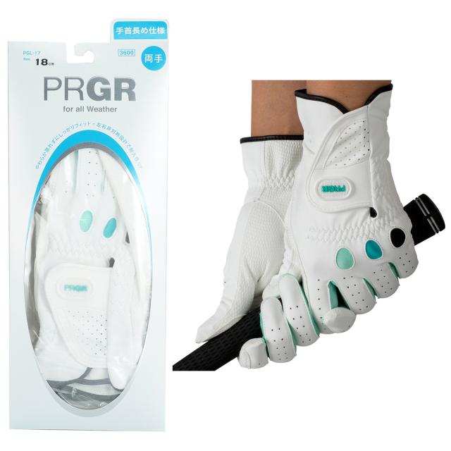 プロギア PRGR グローブ 両手用 5セット レディス
