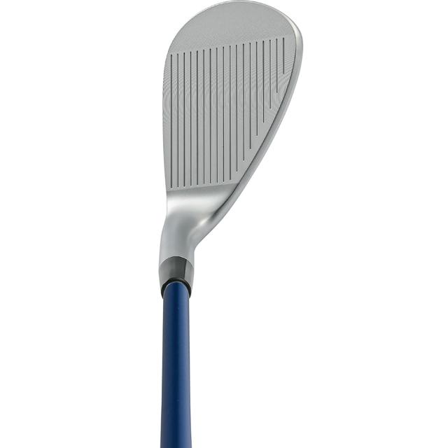 キャスコ DOLPHIN ドルフィンウェッジ DW-123 N.S.PRO ZELOS 7 シャフト：N.S.PRO ZELOS 7 レディス