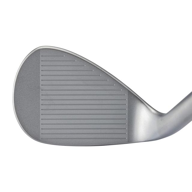 キャスコ　DOLPHIN　ドルフィンウェッジ DW-125G セミグースネック N.S.PRO 950GH neo　シャフト：N.S.PRO 950GH neo