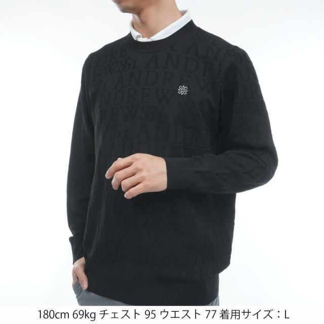 セント・アンドリュース　St ANDREWS　ダブルロゴジャカードプルオーバーセーター_1