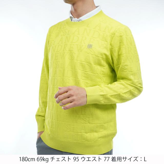 セント・アンドリュース　St ANDREWS　ダブルロゴジャカードプルオーバーセーター_7
