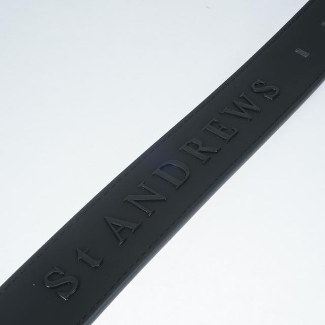 セント・アンドリュース　St ANDREWS　ロゴベルト_3