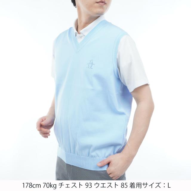 マンシングウェア　Munsingwear　背面地柄ボーダーVネックベスト_4