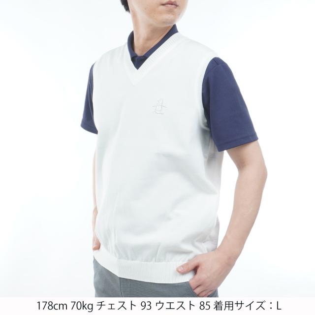 マンシングウェア　Munsingwear　背面地柄ボーダーVネックベスト_12