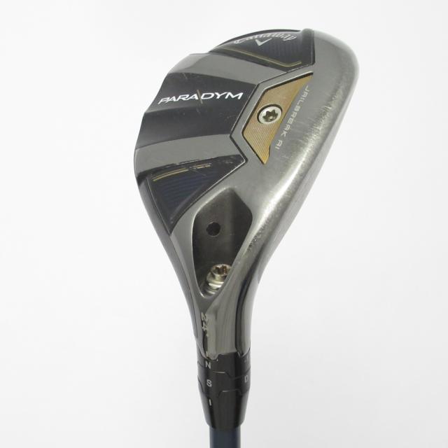 ダイワ ロングキャスターチタン4 (撒き餌杓・マゼラー) - 釣り具の販売