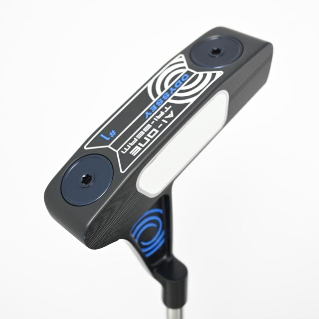 ダイワ(DAIWA) 本流竿 プライム本流 TT/P-3/P-6/P-10 各種 (2023年