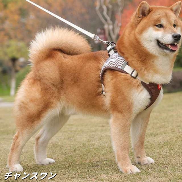 猫 犬 ハーネス 小型犬 リード 首輪 超小型犬 おしゃれ 犬服 夏用 可愛い 子犬 子猫 イヌ いぬ 胴輪 リード セット ソフト つけやすい 抜の通販は