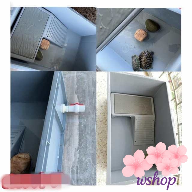 在庫限りの大特価 多機能デザイン 排水孔 プラスチック 【wshop】タートルタンク 両生類 大きい 軽量仕様 飼育ケース ケージ ペット用品 カメ槽 爬虫類 在庫わずか カメ用水槽 亀 飼 ボックス 水槽 ランキング常連 大型 送料無料実施中