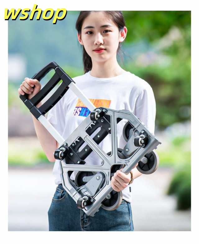 軽量仕様 ランキング常連 】キャリーカート 軽量 耐荷重75kg 静音