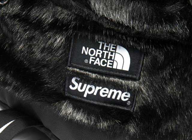 FW20 Supreme The North Face Faux Fur Backpack - シュプリーム