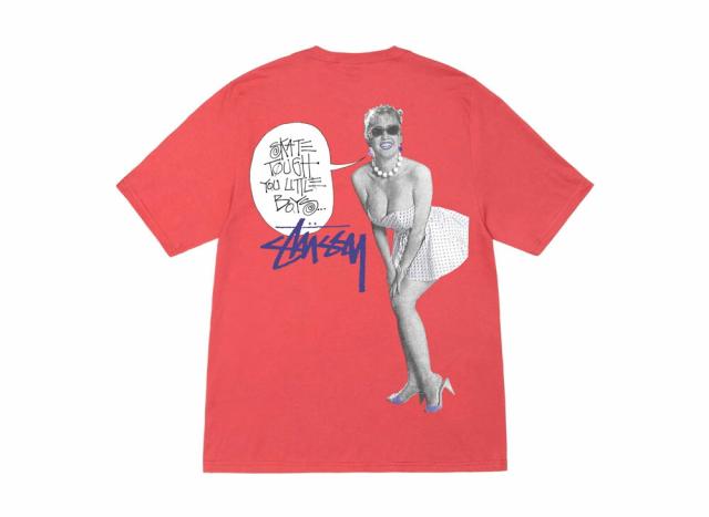 Stussy Skate Tough Tee ステューシー スケート タフ Tシャツの