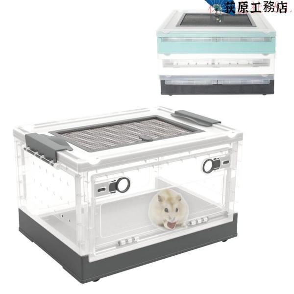 タイムセール　爬虫類飼育セット　トカゲ タイムセール 爬虫類飼育セット トカゲ 楽天市場】トカゲ 飼育