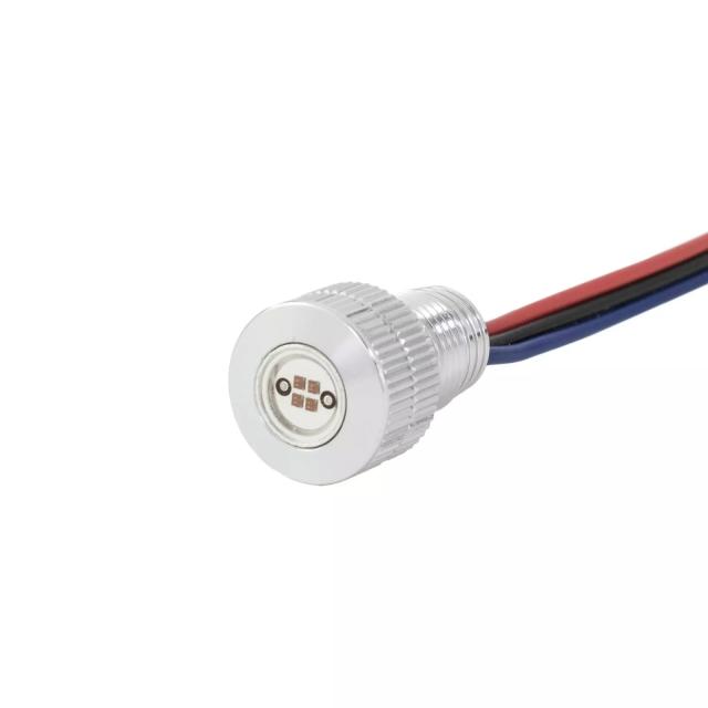 Paulページ ポール・ヤッフェ・バガー・ネイション ライトニング・ボルツ