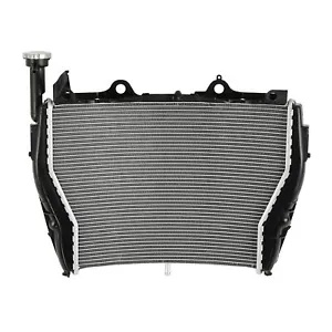 20631333S グッドリッジ ビルドアライン フロント ブレーキホースキット T1タイプ 02年-03年 YZF-R1 ステンレス/スモーク SP店 GOODRIDGE ビルドアライン 公式ホームページ