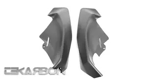 2018 - 2020 Ducati Panigale V4 カーボンファイバーサイドフェア