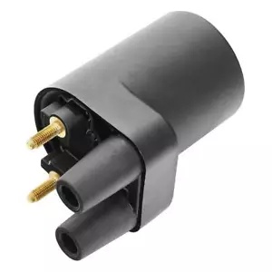 ブラック点火コイルフィットポイントモデル P218G 交換 166-0804 166-0772 Black Ignition Coil Fit For Points Models P218G Replace For 166-0804 166-0772