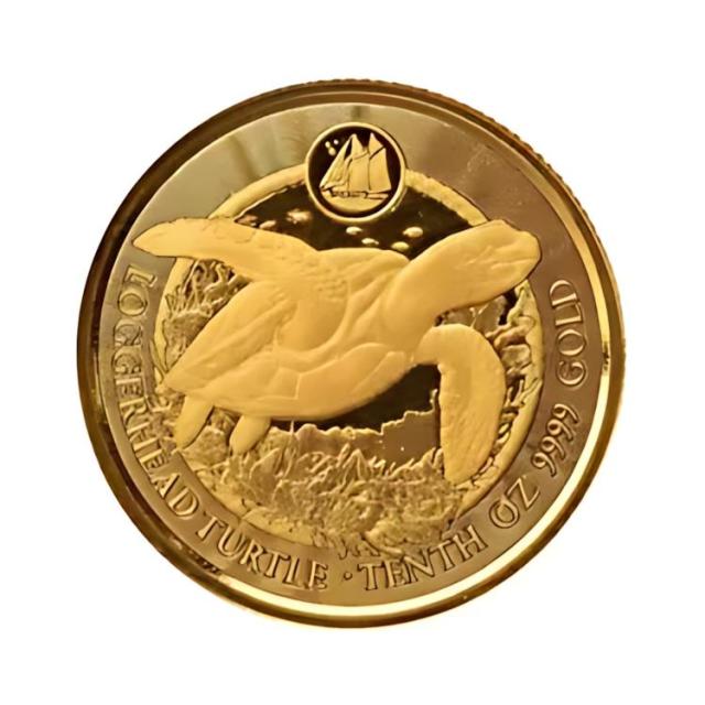 2023 1/10 オンス 金貨 ケイマン諸島 アカウミガメ .9999 金貨