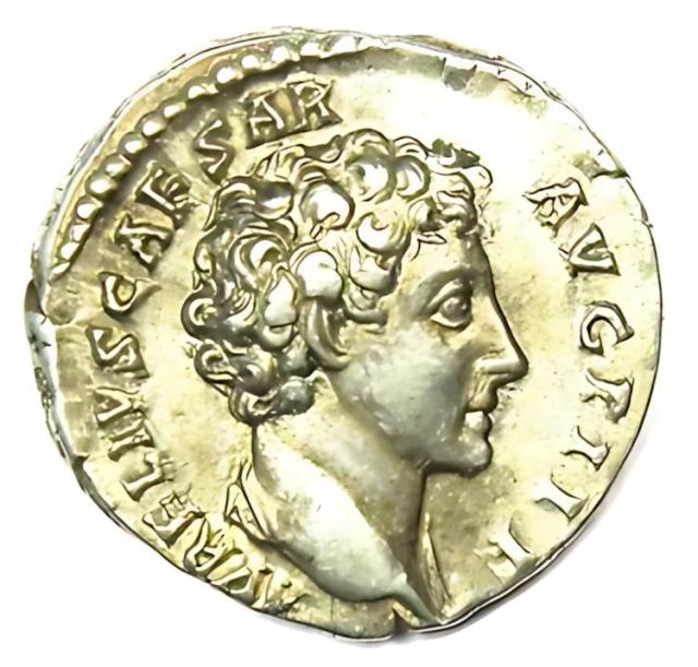 宇田川彩悠 掛軸 （尺三） 「黄金富士」 〔受注生産〕 受注生産 〕 掛軸 尺三 宇田川彩悠 「黄金富士」 受注生産 ) 掛軸 尺三