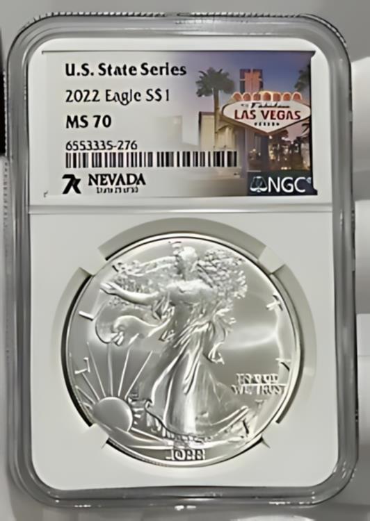 日本画 森山観月 富岳飛翔（ふがくひしょう） F8 慶祝画 [g4-bt032-F8