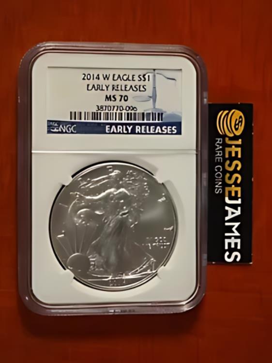 2014 W バーニッシュシルバー イーグル NGC MS70 初期リリース ブルー ラベル