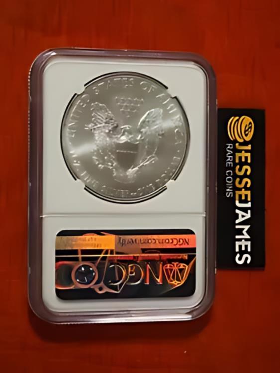 2013 (S) シルバー イーグル NGC MS70 がサンフランシスコ造幣局に登場