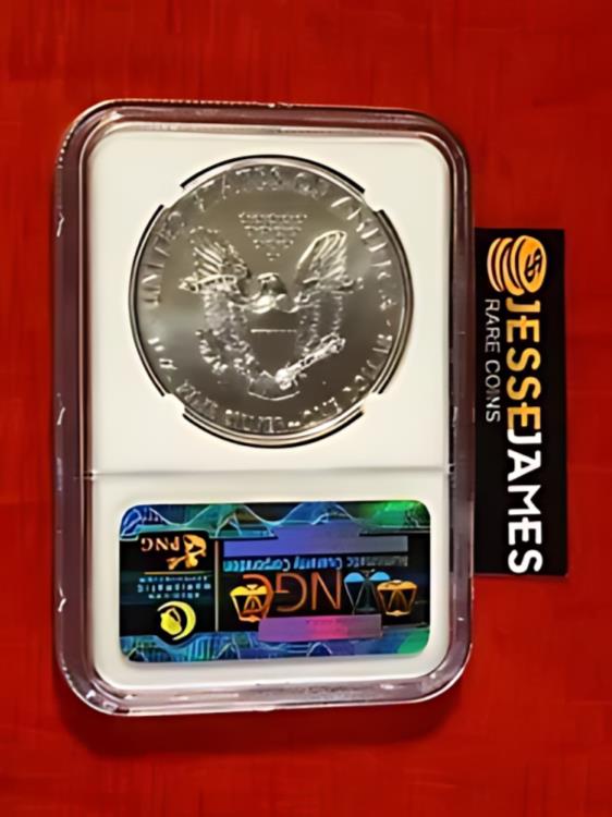 2011 W EAGLE 銀貨 MS 69 NGC認証