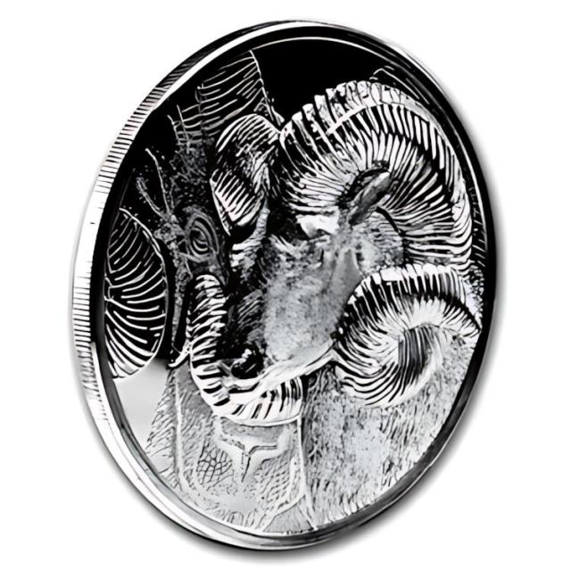 2022年「マグヌム•オプス」純銀1オンス銀貨 imgrc0079488613.jpg