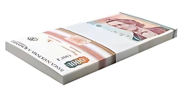 ルーマニア 1000 レイ、1993、P-102、UNC X 100 個バンドル パック