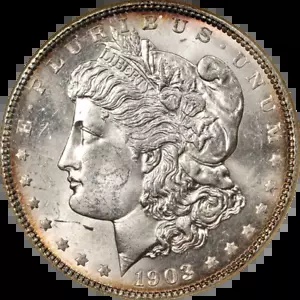 1903-P モーガン シルバー ダラー NGC MS63 グレート アイ アピール