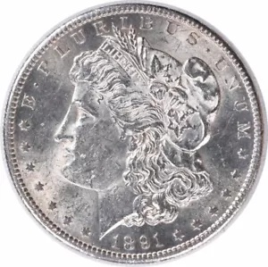 1891-S ???? ???? ??? BU ??? #1002 1891-S Morgan Silver Dollar BU Uncertified #1002の通販は 58,200円
