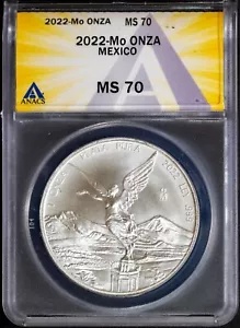 五月人形 子ども大将 平飾り 上杉33 幅55cm（245to0543）清雲齋 鎧