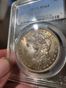 希少】1886 PCGS MS64 モルガンダラーVAM 22