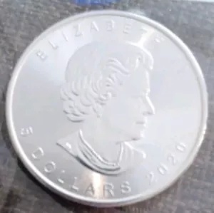 2020 カナダ メイプルリーフ 銀貨 1オンス 38mm クリアケース付きBU 93757